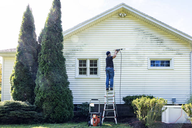 Best Driveway Pressure Washing  in Lebanon Junction, KY